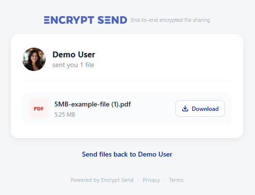 Download page — clean file details, prominent download button