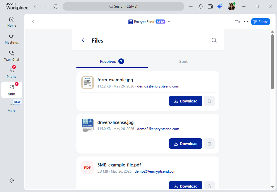 File history — every sent and received file in one place