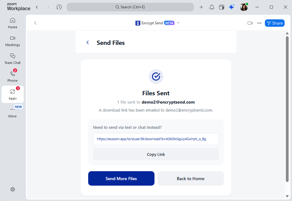 Files sent confirmation inside Zoom