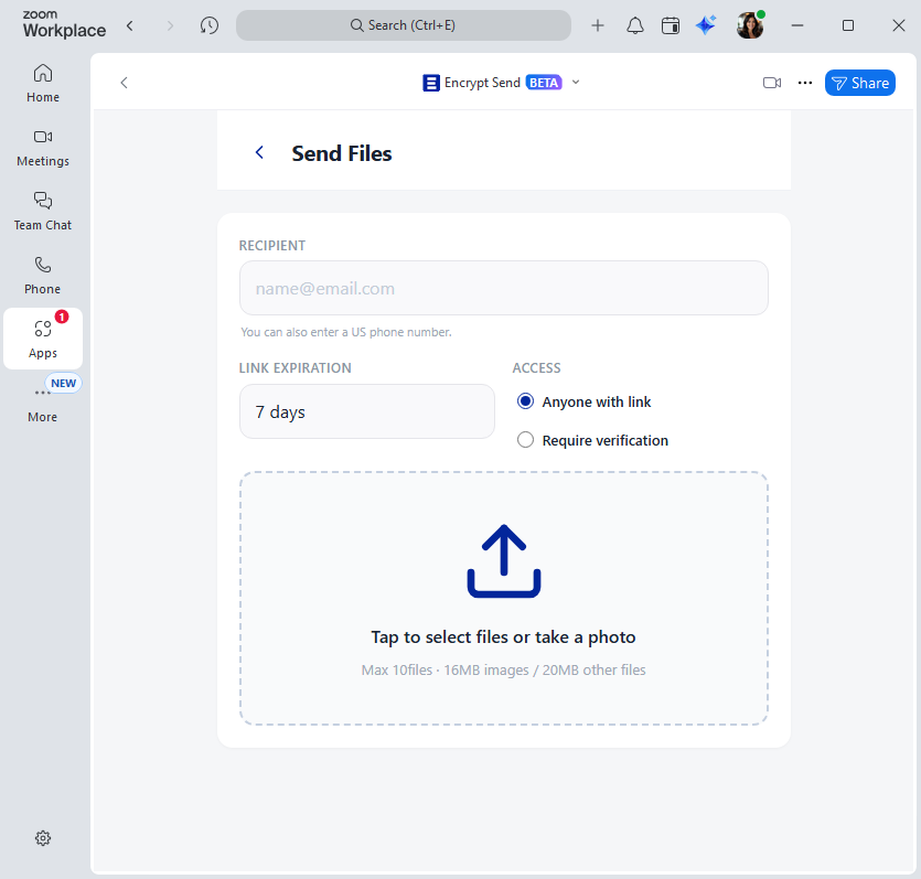 Send files form inside Zoom — recipient, files, expiration